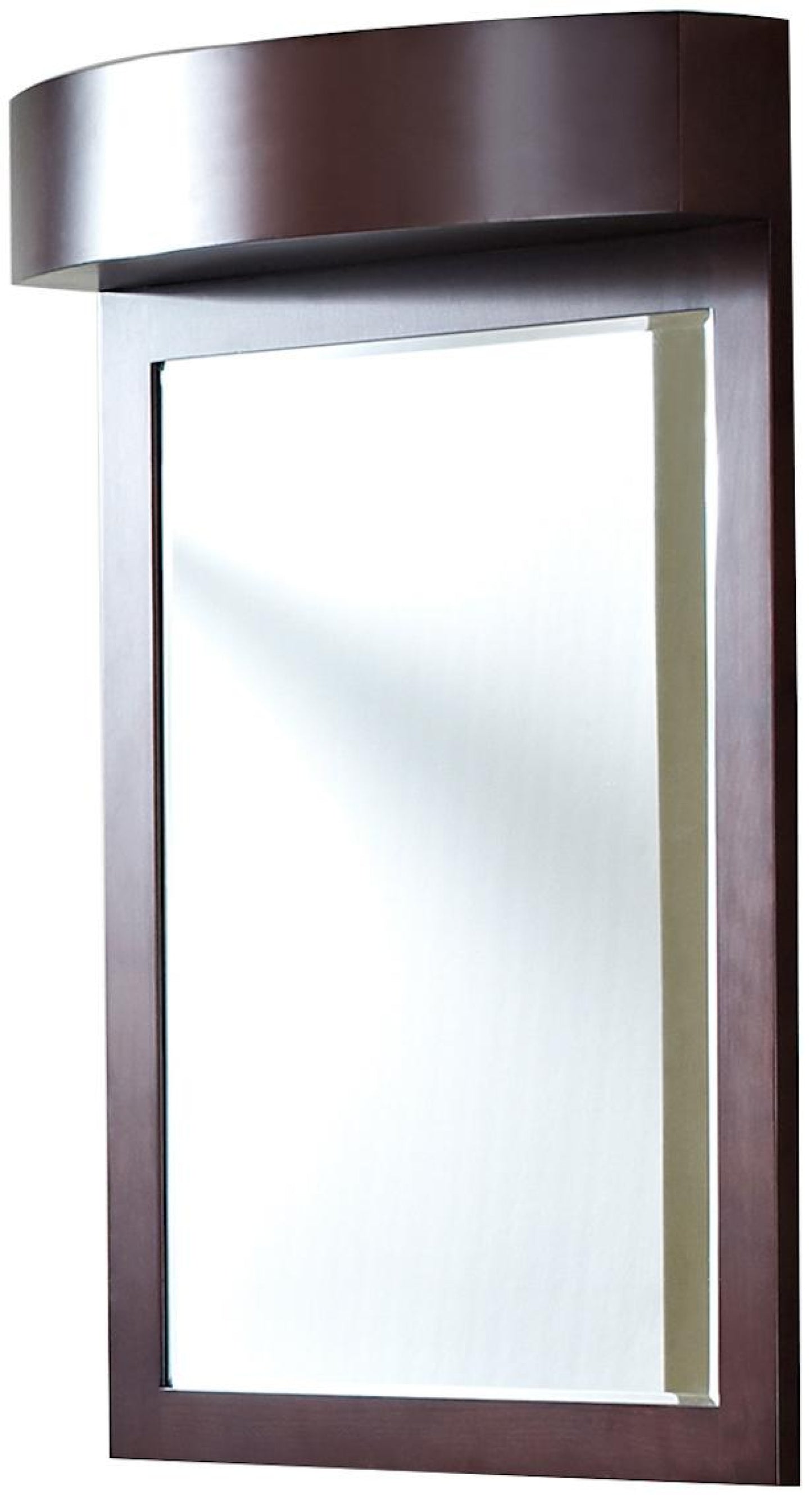 24-in. W 36-in. H Transitional Birch Wood-Veneer Wood Mirror In Coffee