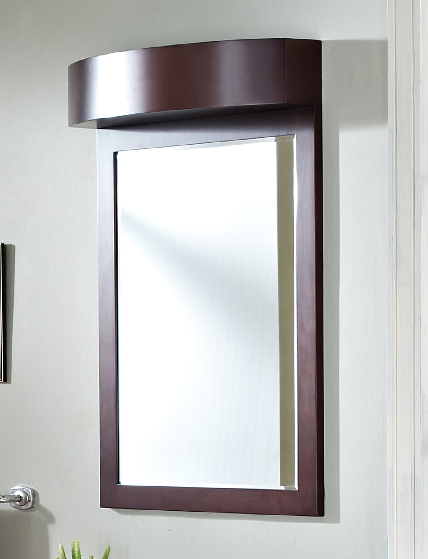 24-in. W 36-in. H Transitional Birch Wood-Veneer Wood Mirror In Coffee
